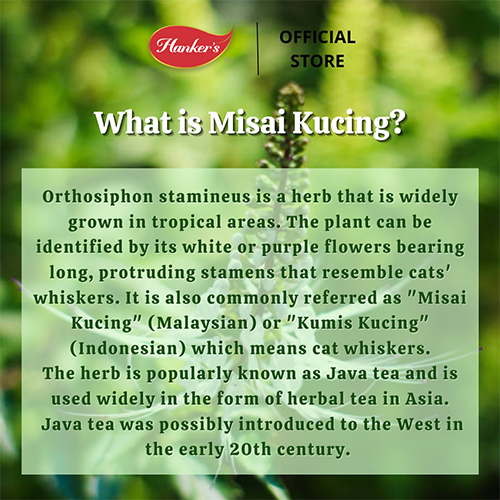 Hanker Cat's Whiskers Java Tea - Image 2