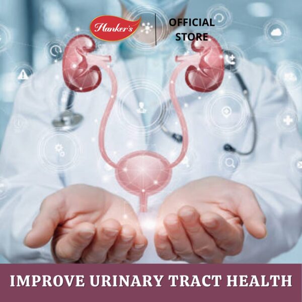 URINARY TRACT